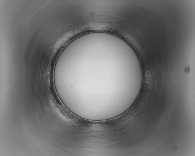 X0000113140682200909251305