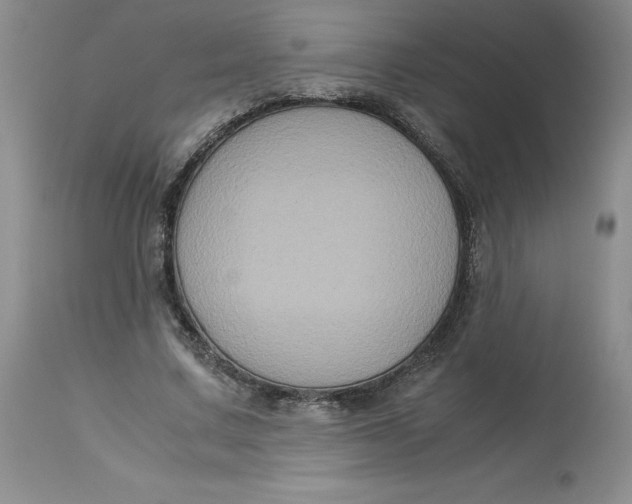 X0000113140683200909251305