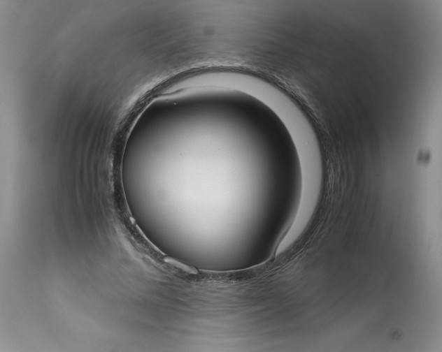 X0000113140684200909251305