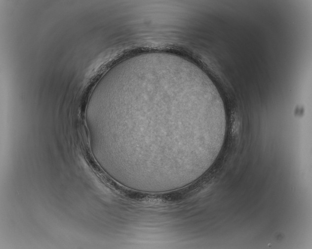 X0000113140685200909251305