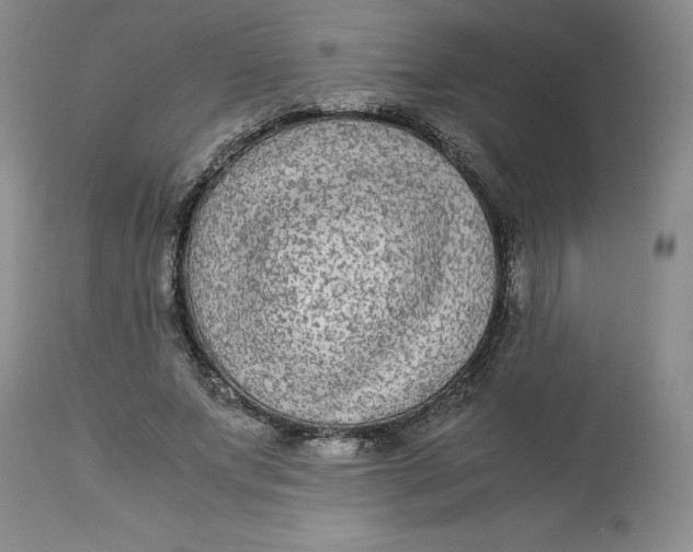 X0000113140687200909251305