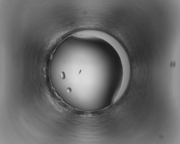 X0000113140688200909251305