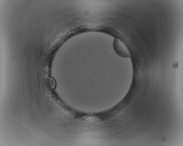 X0000113140689200909251305