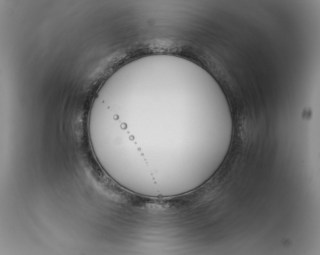 X0000113140690200909251305