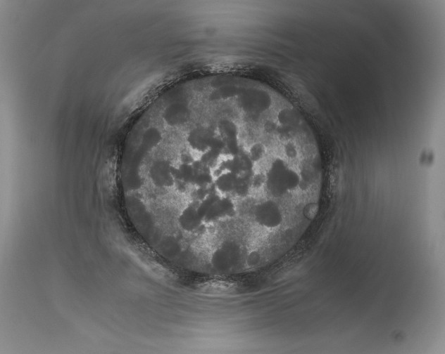 X0000113140691200909251305