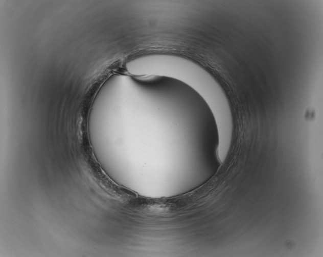 X0000113140692200909251305