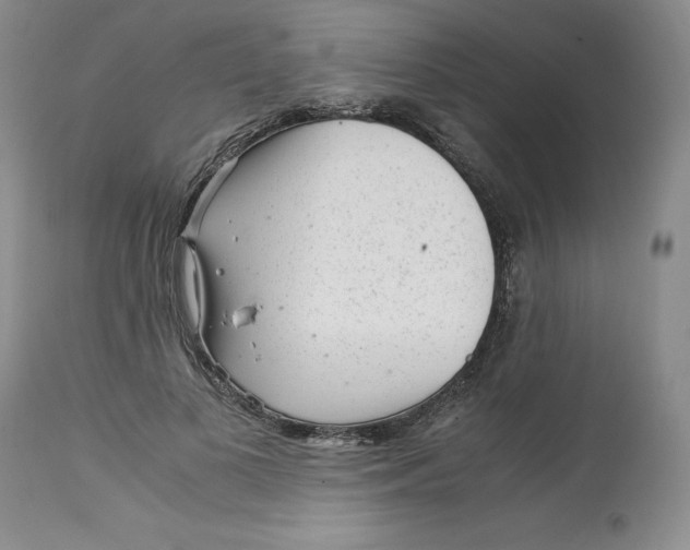 X0000113140693200909251305