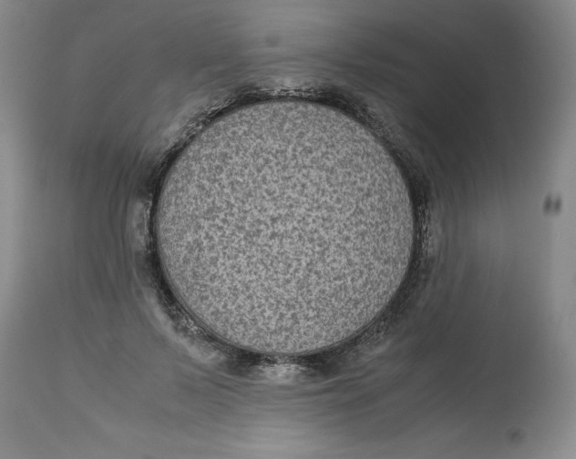 X0000113140695200909251305