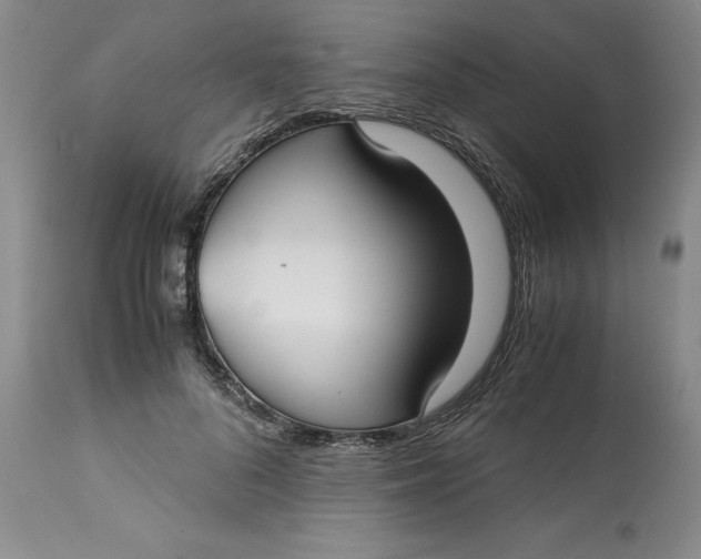 X0000113140696200909251305