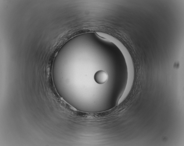 X0000113140697200909251305