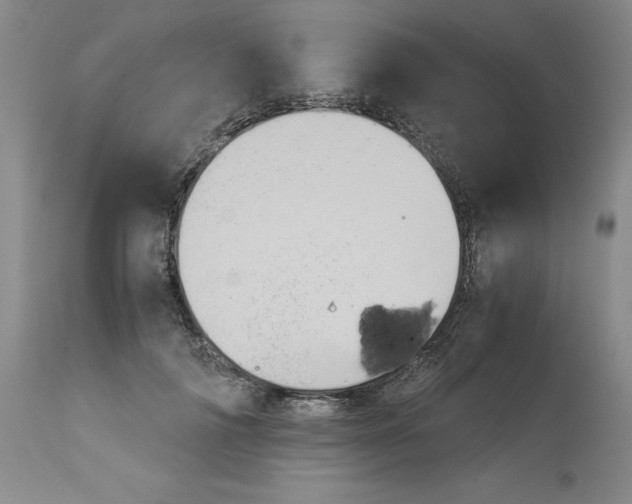 X0000113140698200909251305