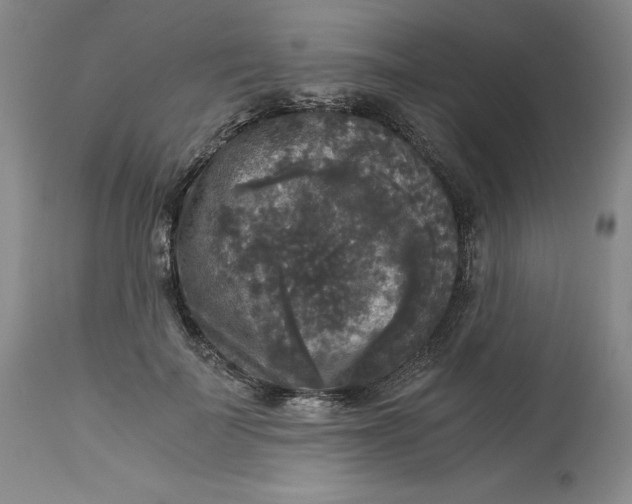 X0000113140699200909251305