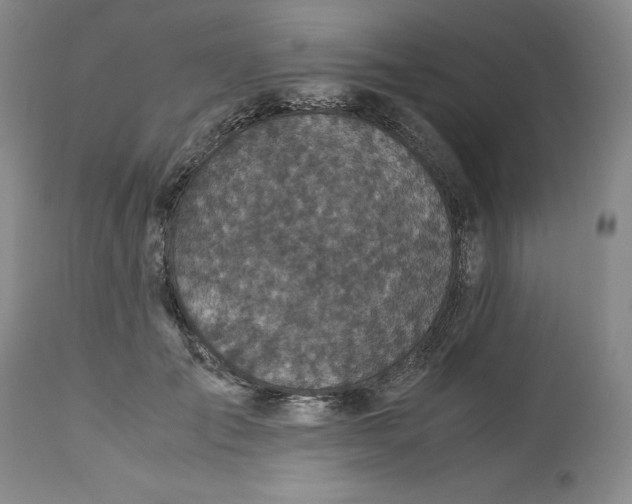 X0000113140701200909251304