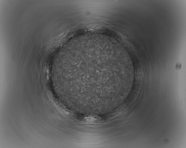 X0000113140703200909251304