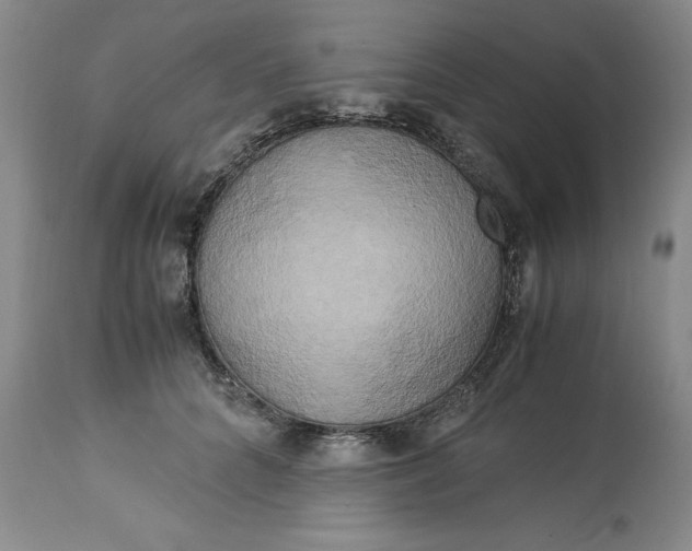 X0000113140704200909251304