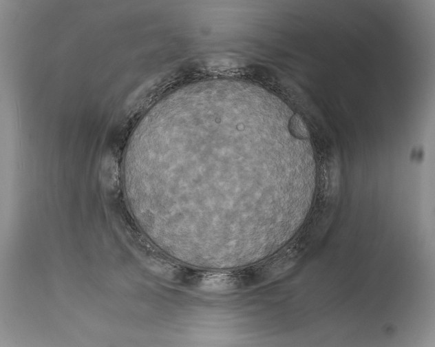 X0000113140705200909251304