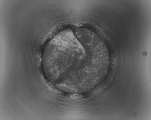 X0000113140707200909251304