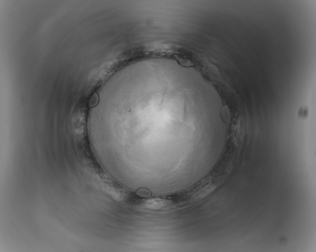 X0000113140708200909251304