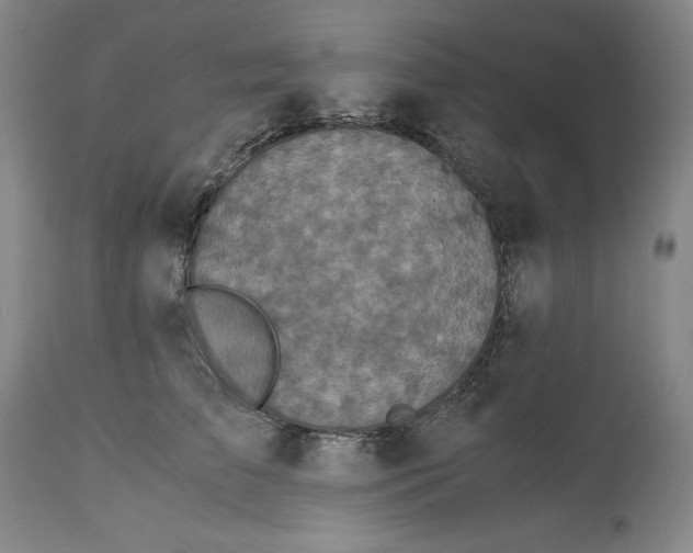 X0000113140709200909251304