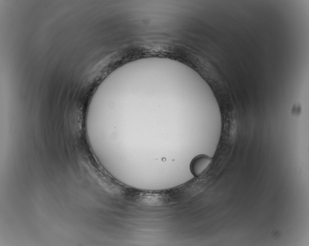 X0000113140710200909251304