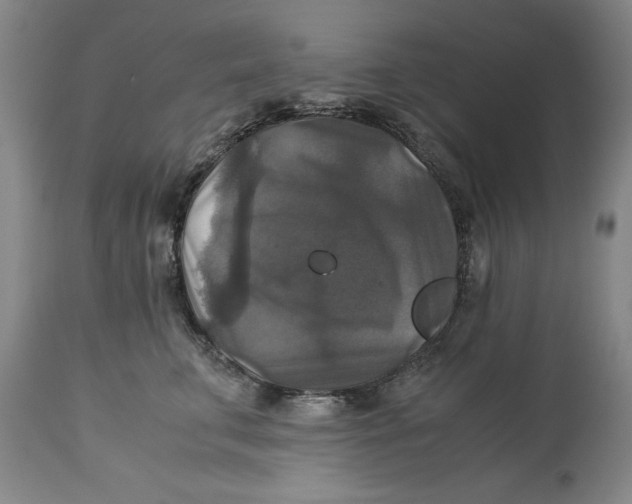 X0000113140711200909251304