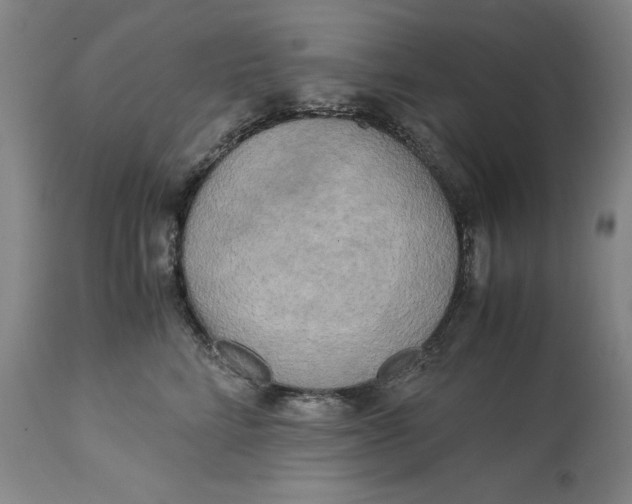 X0000113140712200909251304