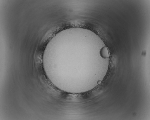 X0000113140713200909251304