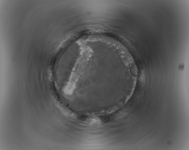 X0000113140715200909251304