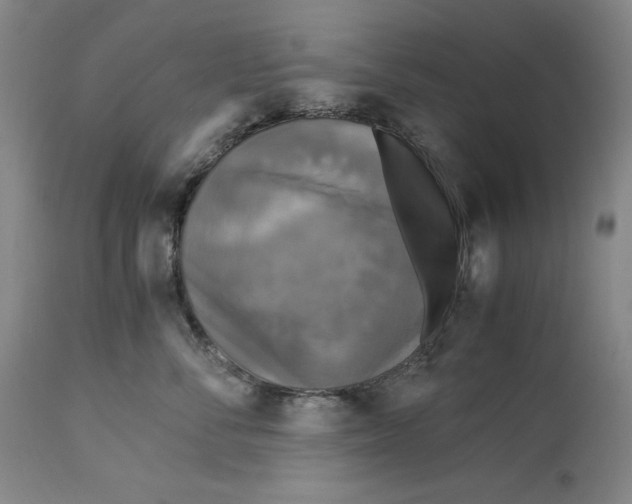 X0000113140716200909251304