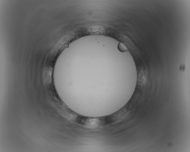 X0000113140717200909251304