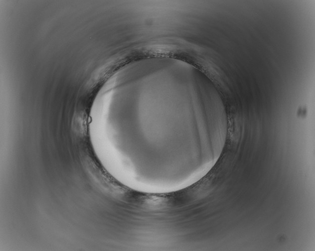 X0000113140718200909251304