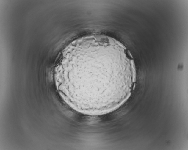 X0000113140719200909251304