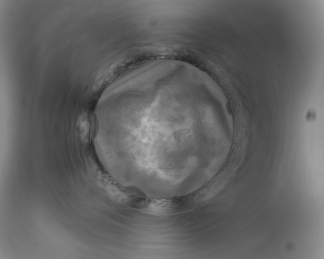 X0000113140720200909251304