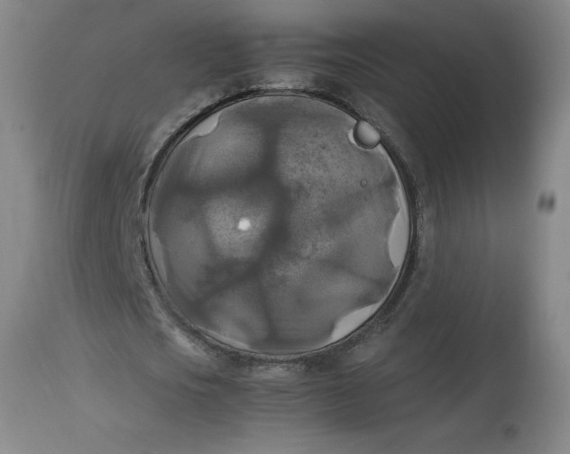 X0000113140721200909251303