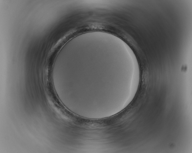 X0000113140722200909251303