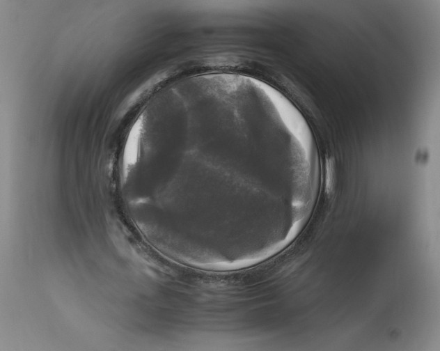 X0000113140723200909251303