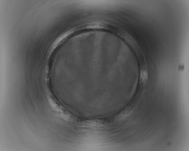 X0000113140724200909251303