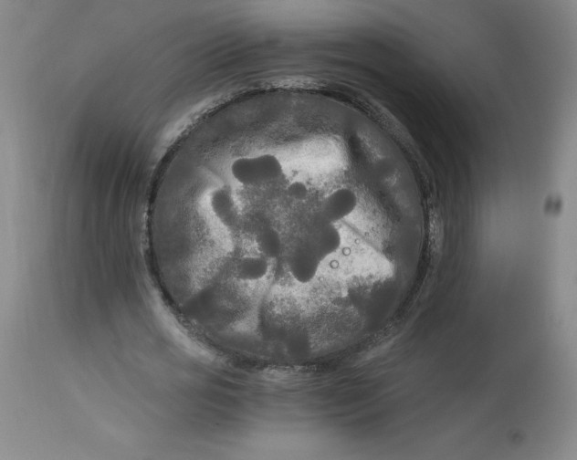 X0000113140725200909251303