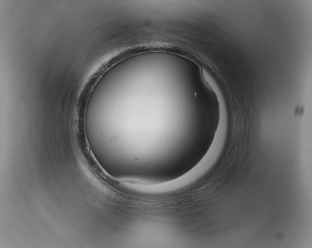 X0000113140726200909251303