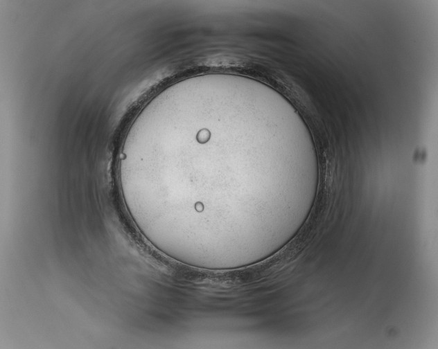 X0000113140727200909251303