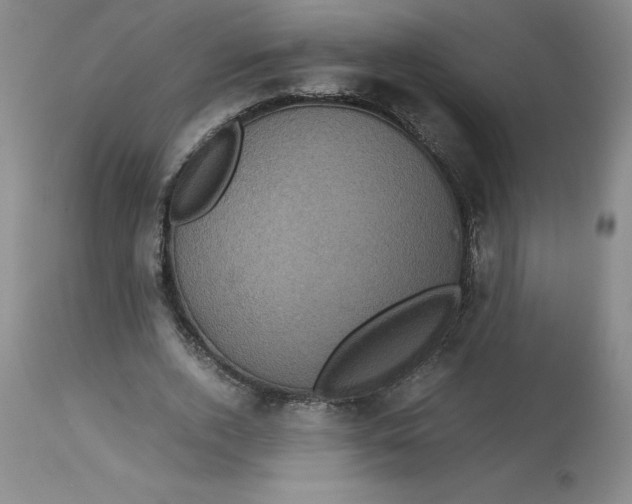 X0000113140728200909251303