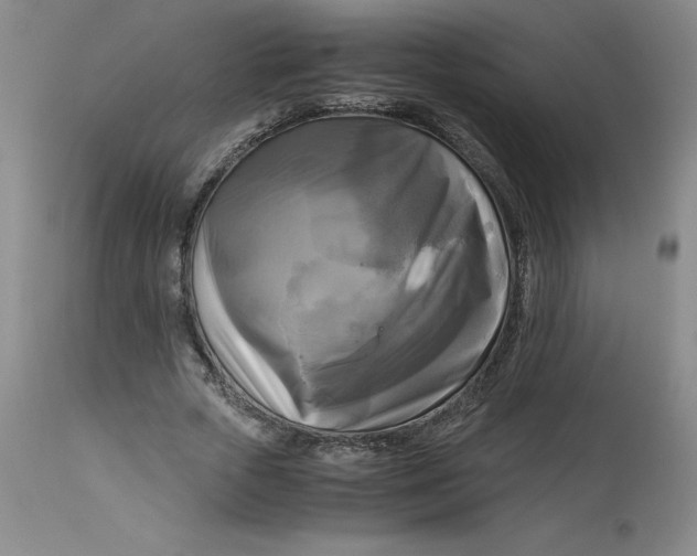 X0000113140729200909251304