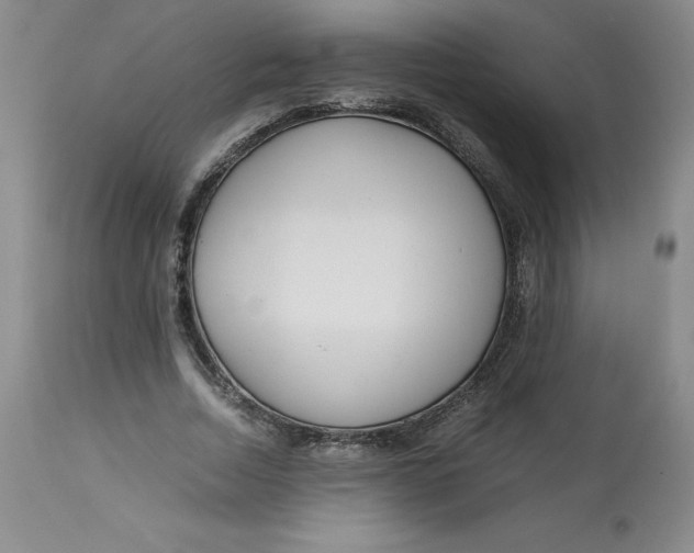 X0000113140730200909251304