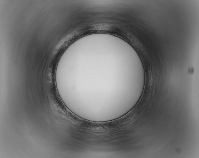 X0000113140731200909251304