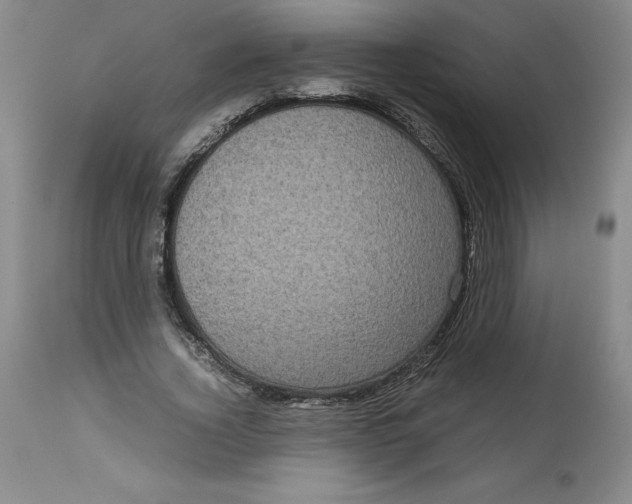 X0000113140732200909251304