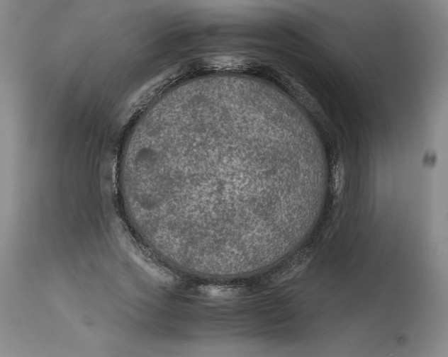 X0000113140733200909251304