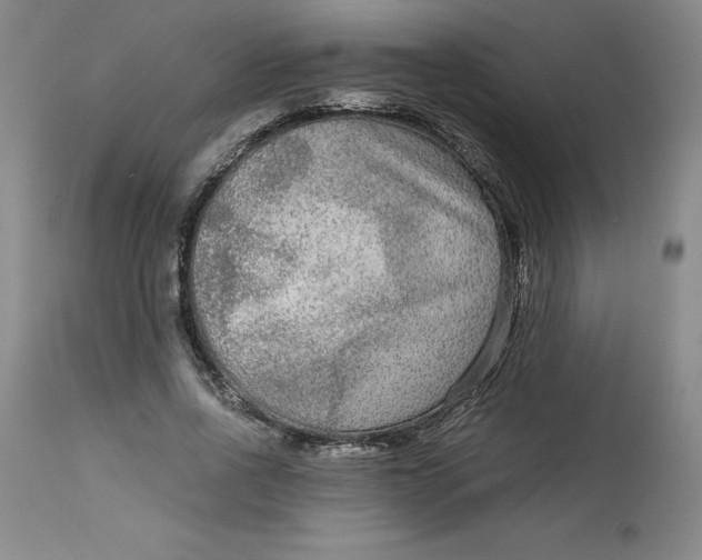 X0000113140734200909251304