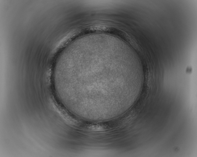 X0000113140735200909251304