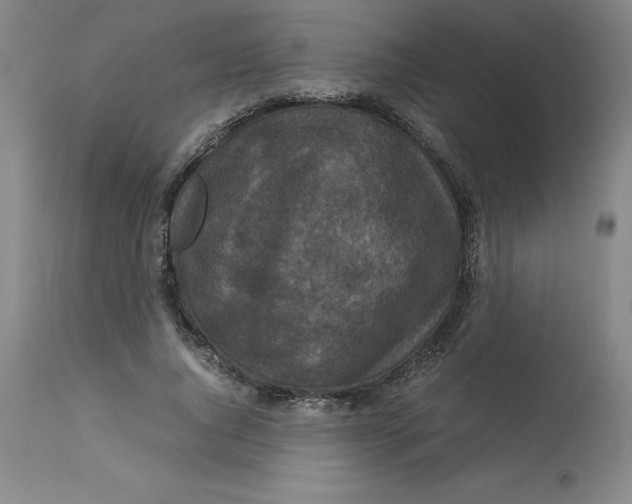 X0000113140736200909251304