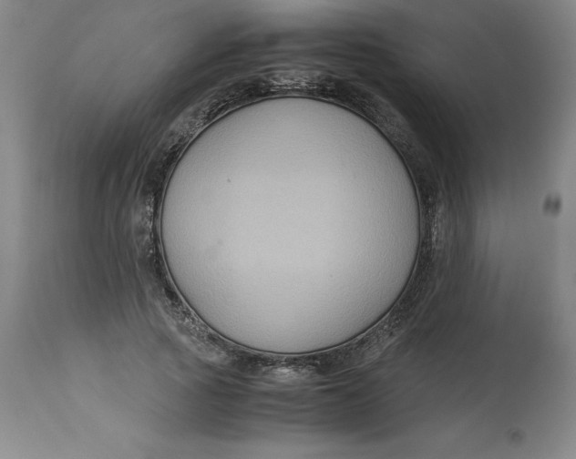 X0000113140737200909251304